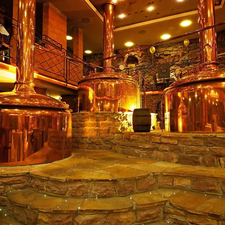 Allvitalis Traumhotel 3* 카를스루에